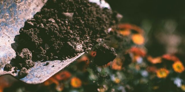 Niet weggooien, maar herwaarderen– Deel 1, de tuin